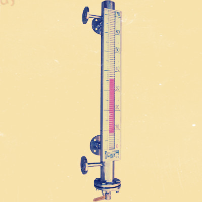 UDZ-3D插入型磁浮球液位計(jì)